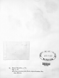 Image Associated With the Occurence